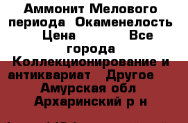 Аммонит Мелового периода. Окаменелость. › Цена ­ 2 800 - Все города Коллекционирование и антиквариат » Другое   . Амурская обл.,Архаринский р-н